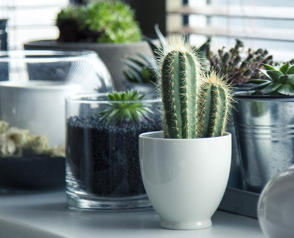 �m�������b������޹�˾������2017������һ�Ҿ߂���b�Y�|(zh��)���Լ��b�������㹤�b�ľC�����b�˾����(zhu��n)ע�ڞ����(hu��)��Ӣ�A���ṩ���ЙC(j��)���wסլ�b���Q�������γɪ�(d��)�صĺ��wסլ�b��O(sh��)Ӌ(j��)��ʩ�������Ĵ������ԠI(y��ng)ľ���a(ch��n)Ʒ...